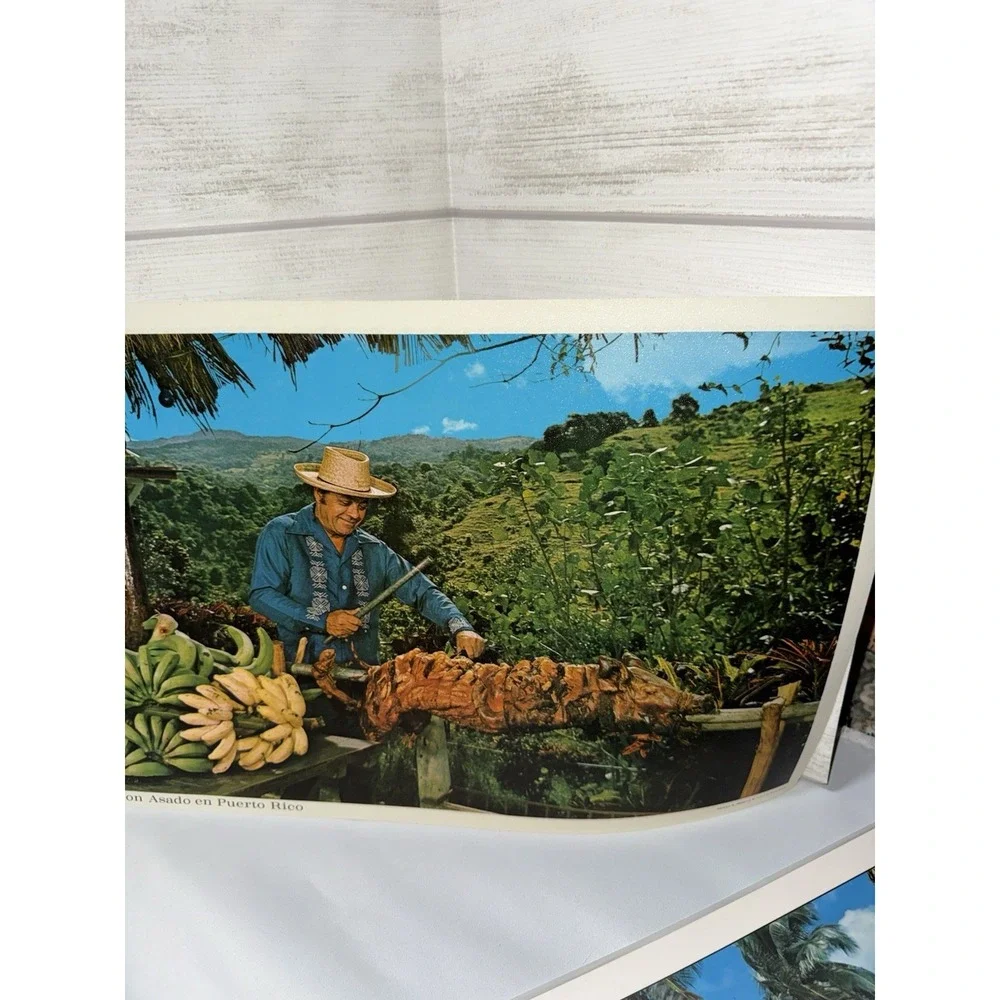 4‎  Vintage Laminated Island Placemats Bermuda Virgin Islands Puerto Rico